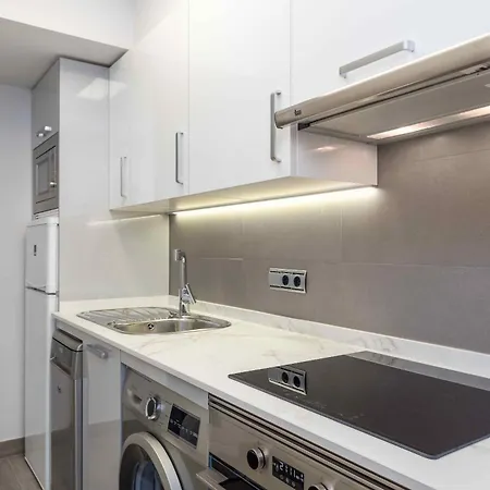 Always Easy I Bermingham 公寓 圣塞瓦斯蒂安